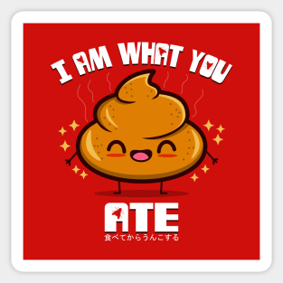 Cute Funny Kawaii Poop Poo Funny Saying Japanese Post Holiday Feast Meme Sticker